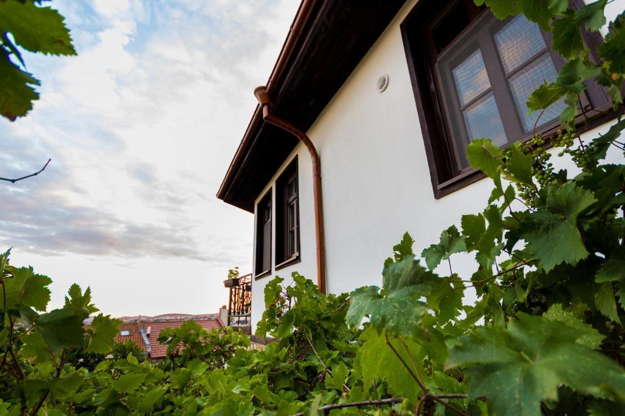 Apartment Zdravets, In The Heart Of The Old City فيليكو ترنوفو المظهر الخارجي الصورة
